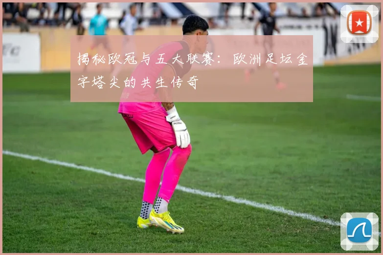 揭秘欧冠与五大联赛:欧洲足坛金字塔尖的共生传奇