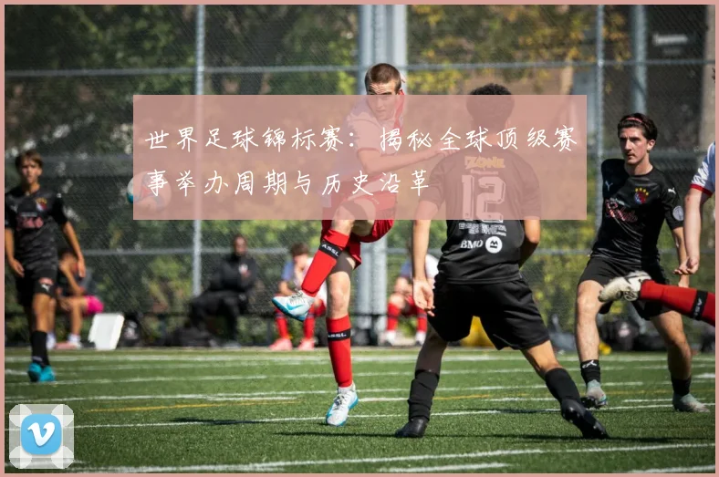 世界足球锦标赛：揭秘全球顶级赛事举办周期与历史沿革